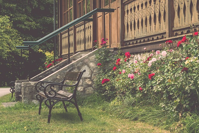 了其作为顶 了其作为顶