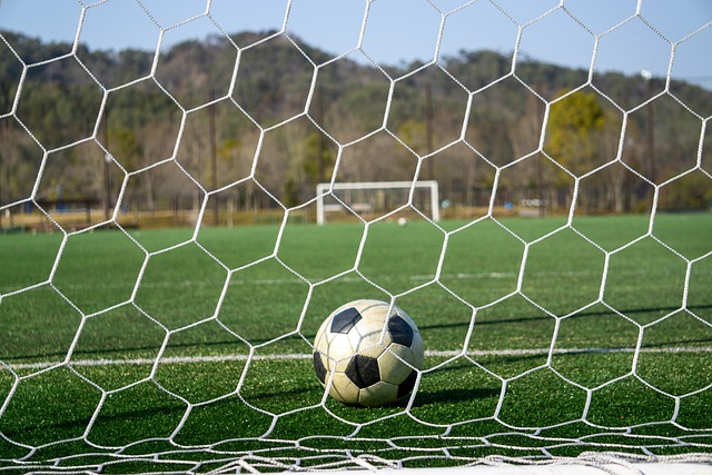 杂性与恢复 杂性与恢复