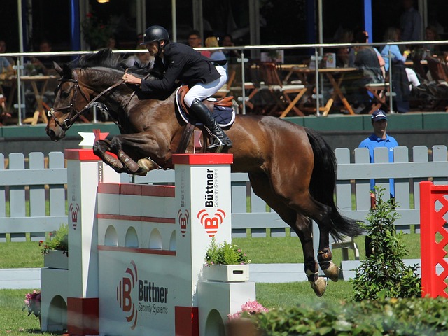 主场拿分的 主场拿分的