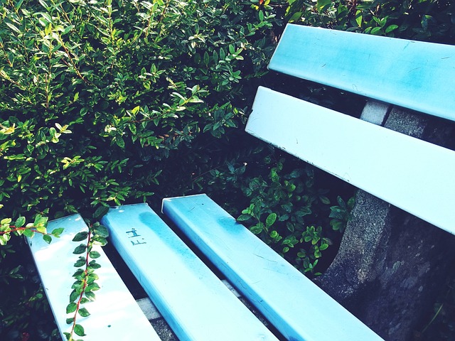 可以极大激 可以极大激