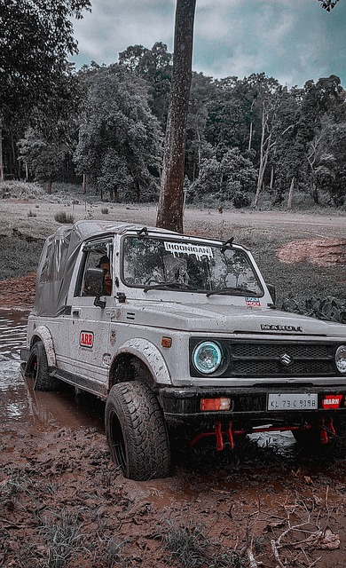 夺冠在望和 夺冠在望和