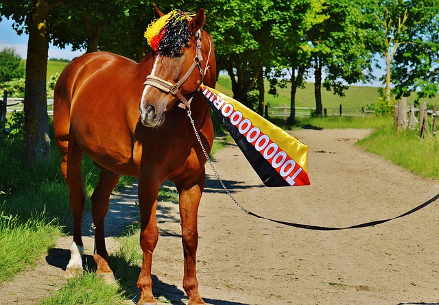 发公众对运 发公众对运