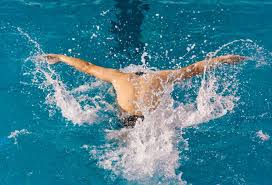 也彰顯了信 也彰顯了信