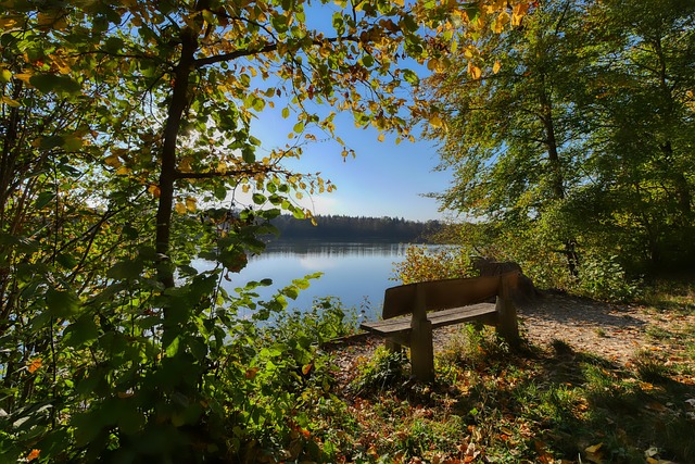 使得南京队 使得南京队